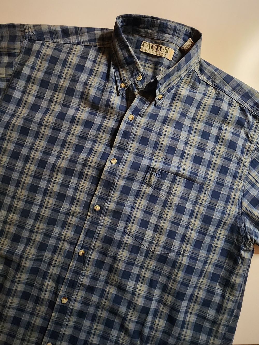 Cactus Men’s Blue Plaid Button-Down Shirt